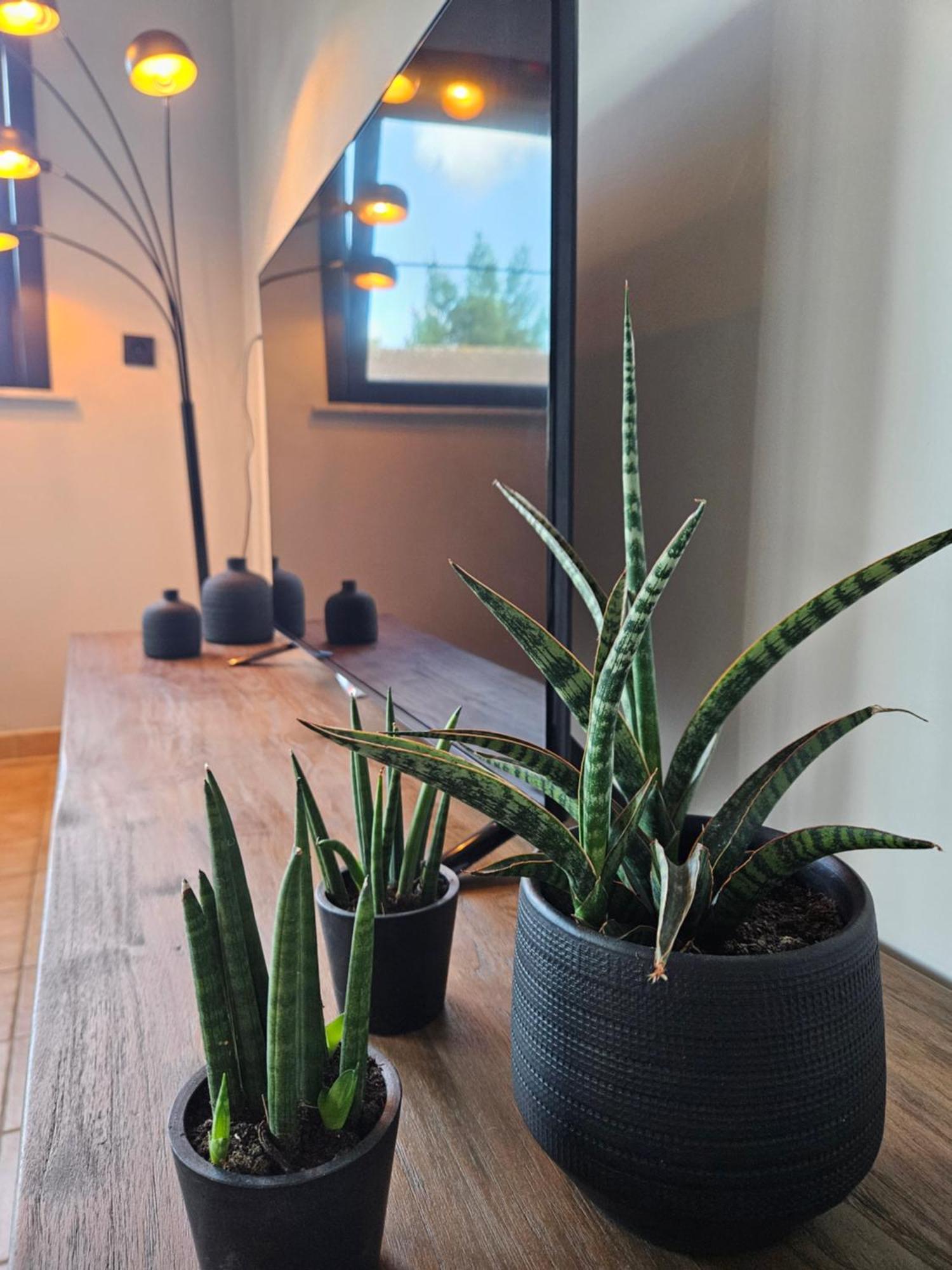 Vakantiewoning Maison Mathiz ميدل كيرك المظهر الخارجي الصورة